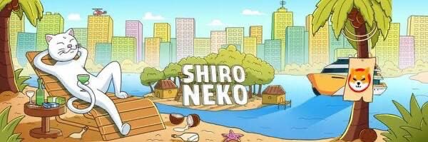 OG Shib - The Catfather banner