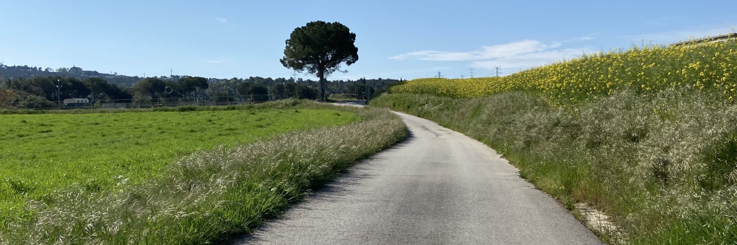 jordeig's profile banner image