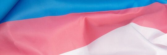 Bambi Ginger 🔞🏳️‍⚧️ banner