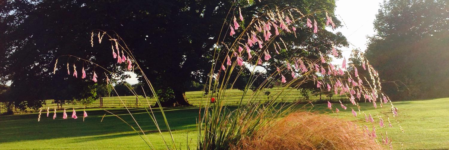 elainesking's profile banner image