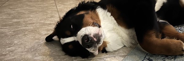 wbuf81 Profile Banner