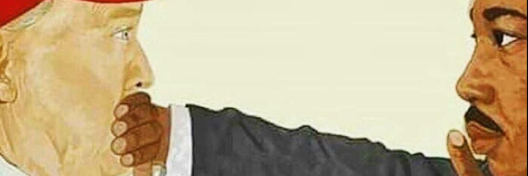 jackiemacleod's profile banner image