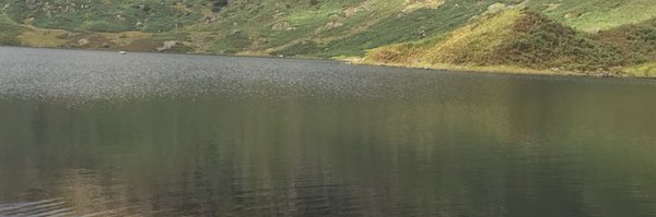 docrai Profile Banner