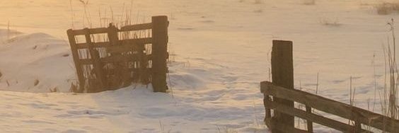 jylim25's profile banner image