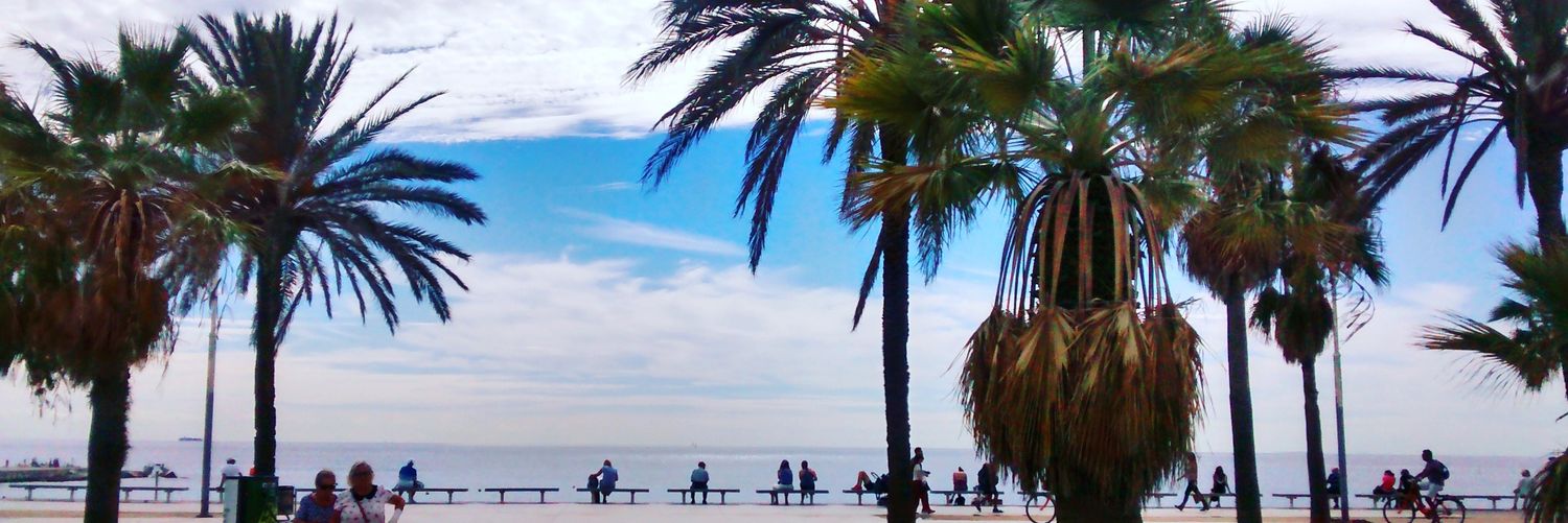 gerdesimone's profile banner image