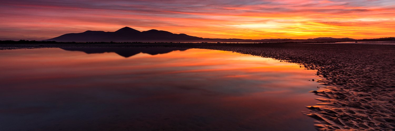 Paddy Higgins banner