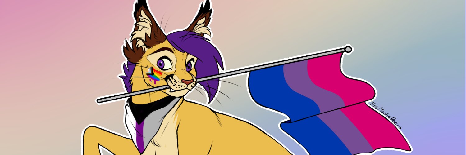 _Caraluca's profile banner image