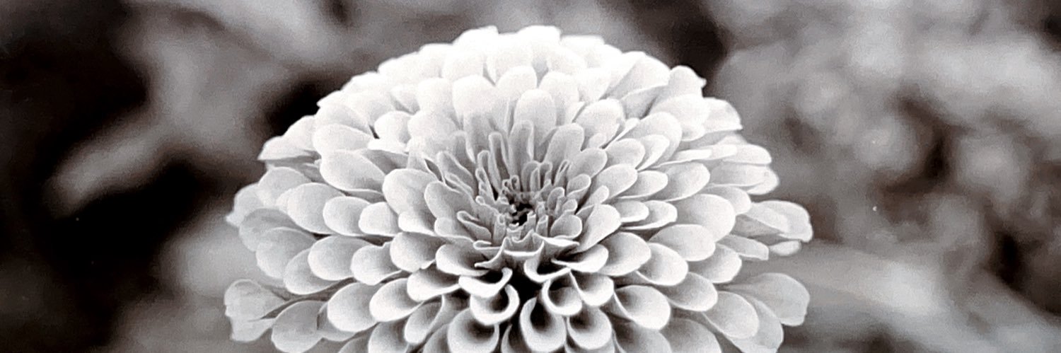 lauranette's profile banner image
