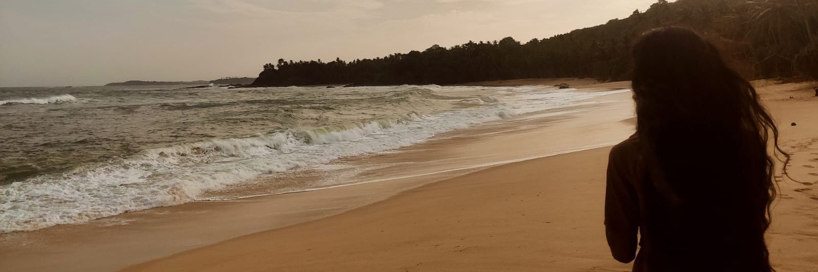 nethu99's profile banner image