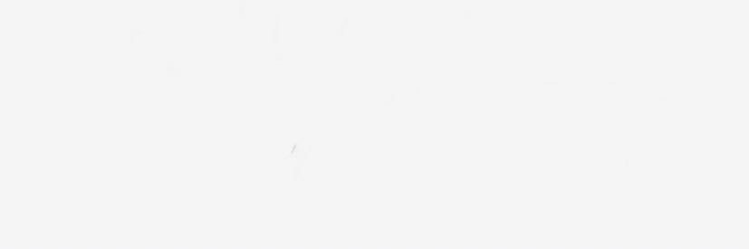 mariagleales's profile banner image