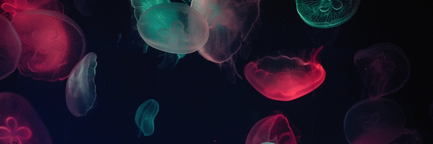 themasrix's profile banner image