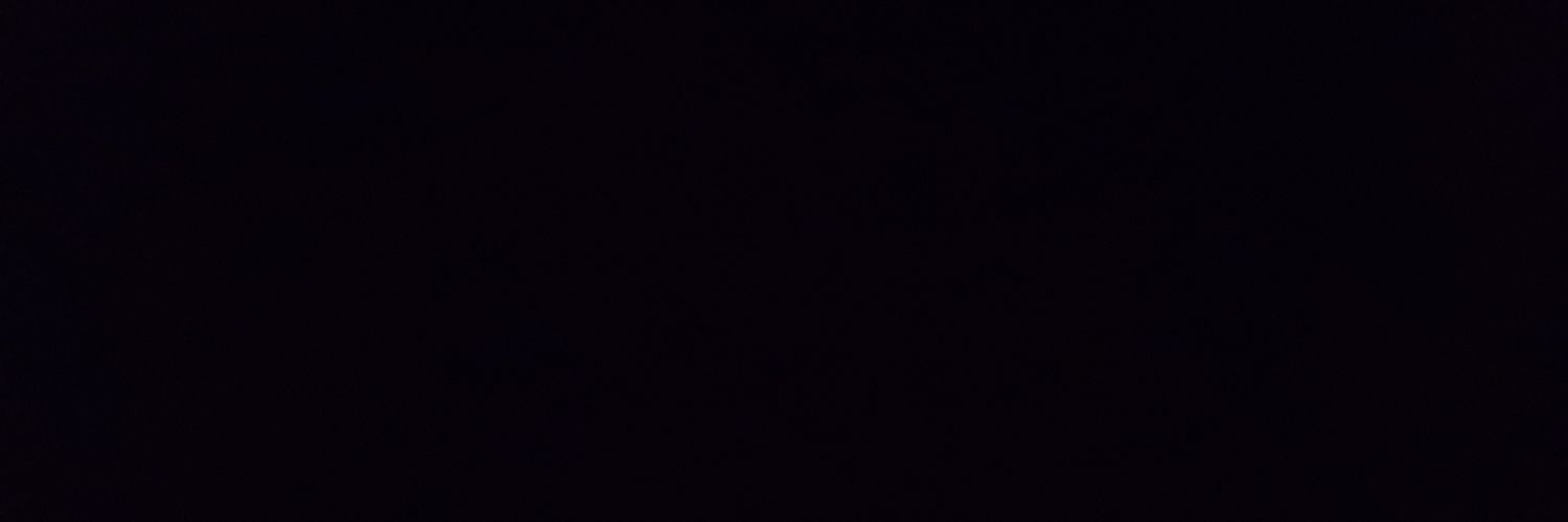 Lorenzo Ferrieri banner