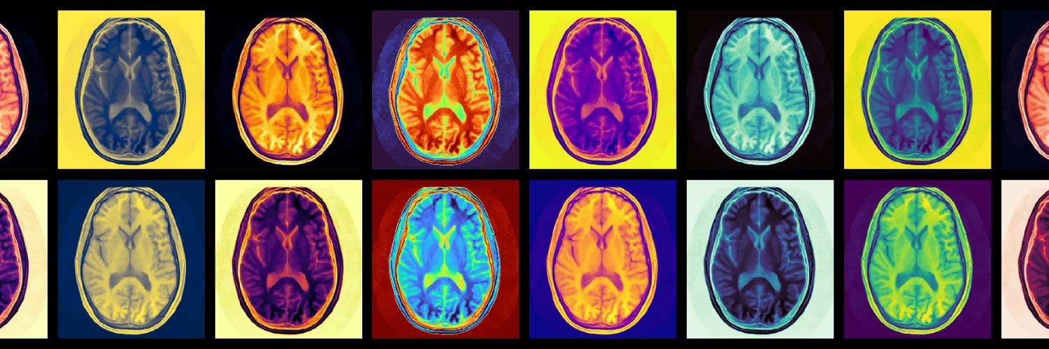 David Baranger banner