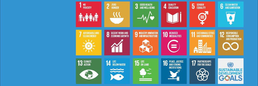 Calixte 🇧🇫🇲🇱🇨🇮🇳🇪🇸🇳 banner