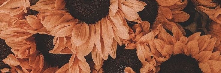 YenyLaura6's profile banner image