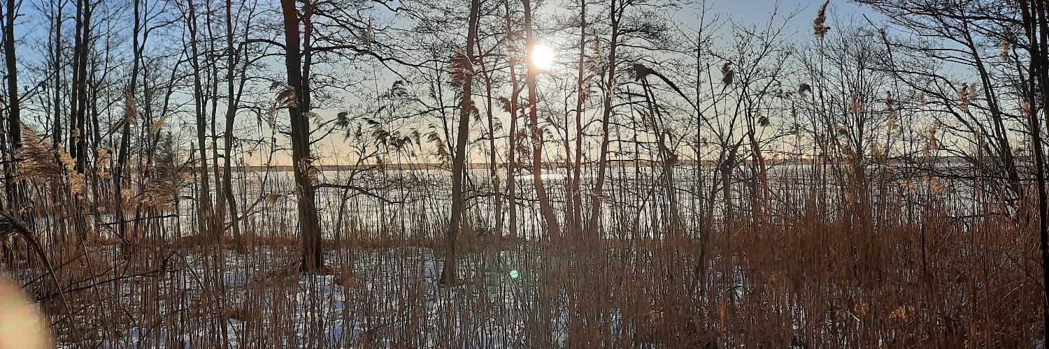 Kevin Redshaw banner