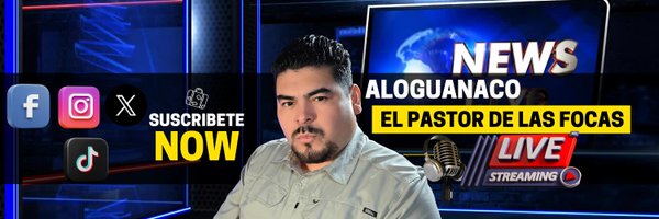 LoGuanaco Profile Banner