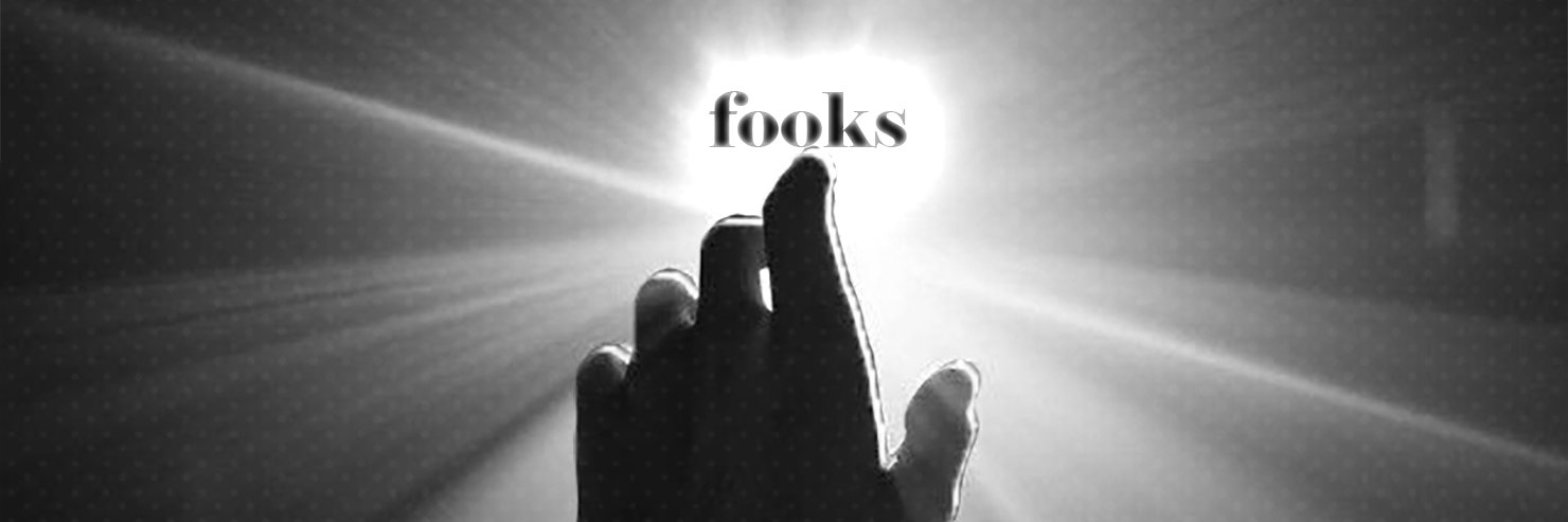 fooks banner