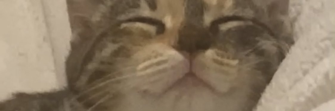 _jasminguzman_'s profile banner image