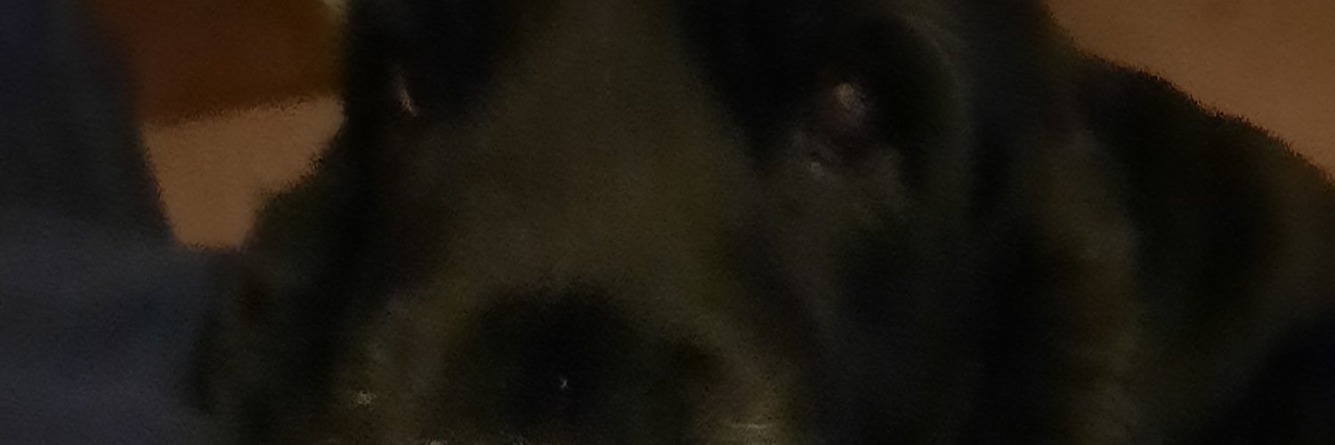 Frieda Kok banner
