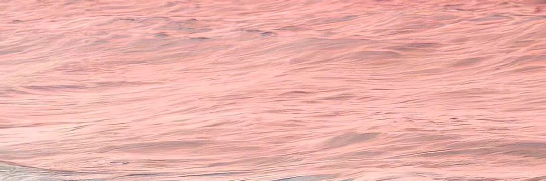 slllyyy8's profile banner image