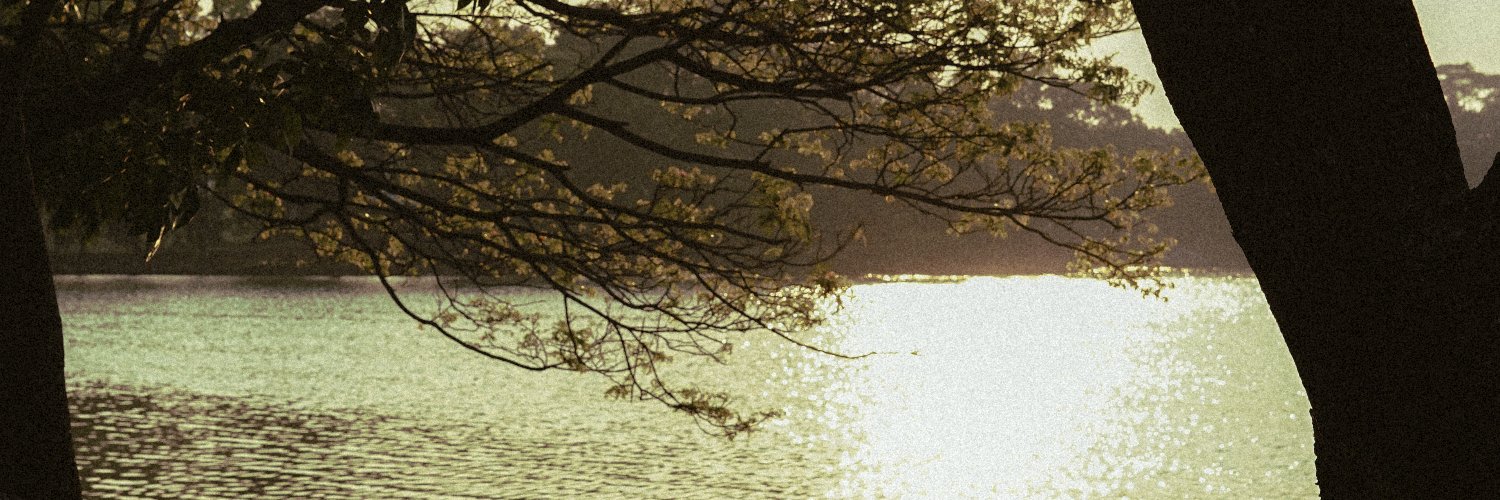 bbymunk banner