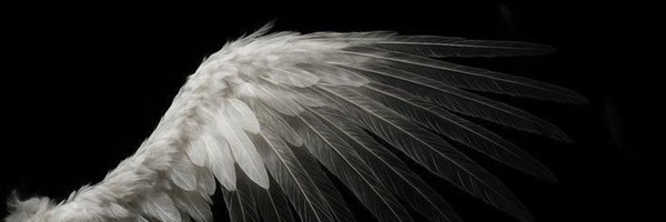 urfavguide Profile Banner