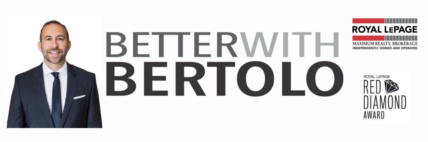 David Bertolo banner