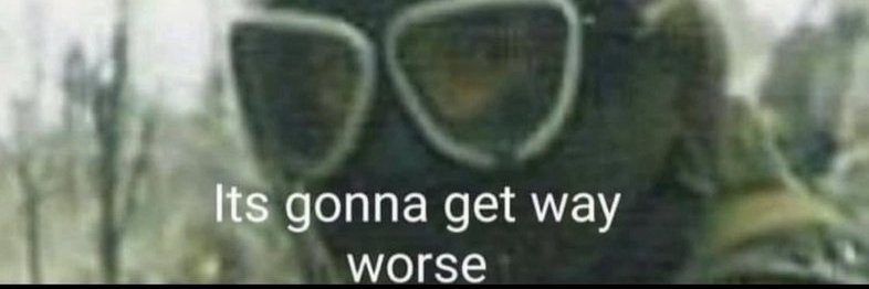 Remigration accelerationism banner