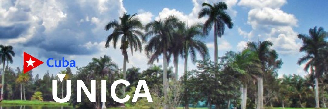 CubaAna2013's profile banner image