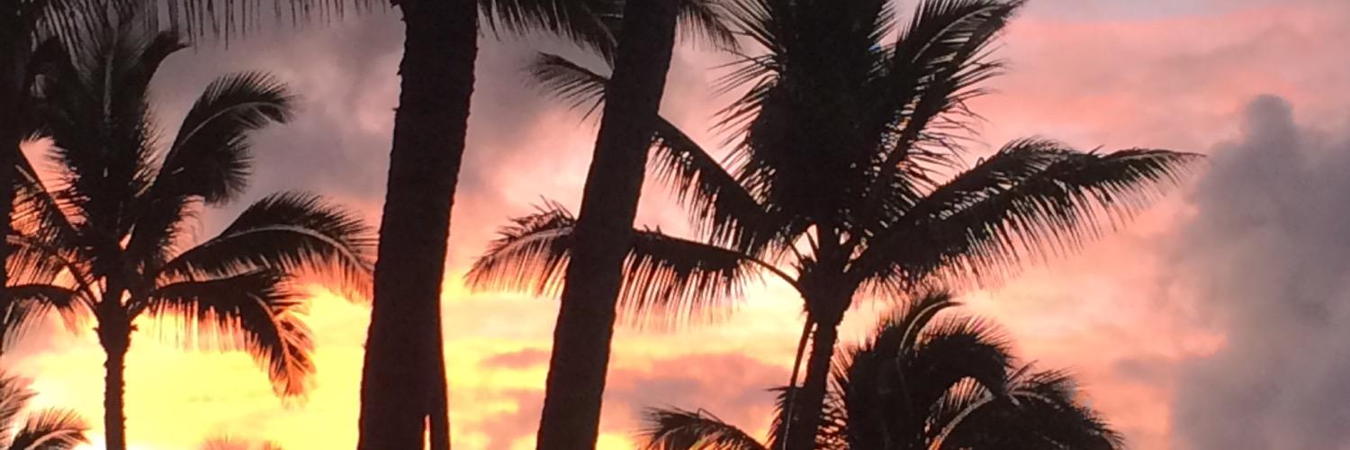rmurphy66062's profile banner image