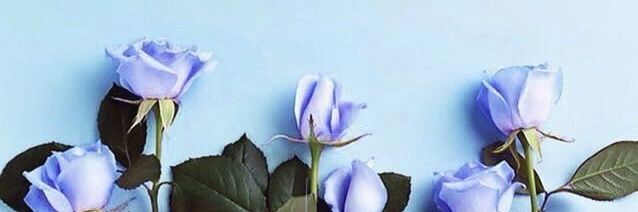 Sofia-Maria Flores-Medina banner