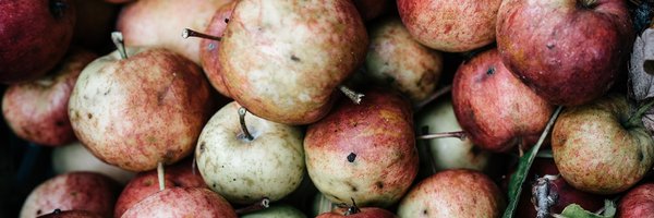 Shacksbury Profile Banner