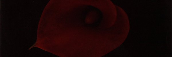 femslab Profile Banner