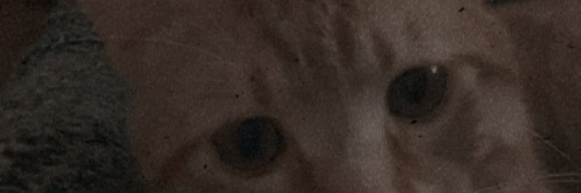 🌱 banner