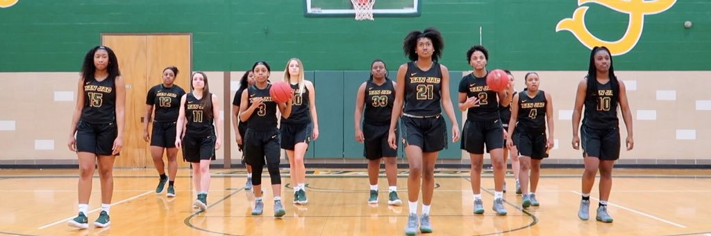 San Jac WBB 🐊 banner