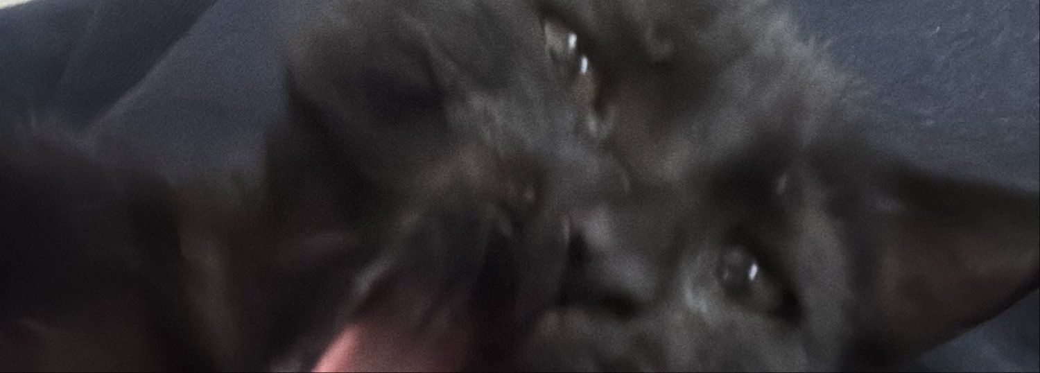Lucasccs17's profile banner image