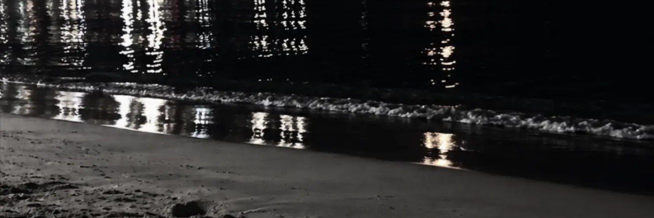imnotgen_'s profile banner image