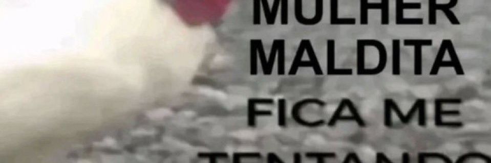 cassie_dutra's profile banner image