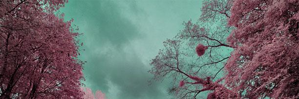 CariitoMal's profile banner image