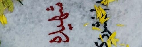 خانم میم m..gh 🎒 banner