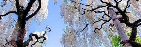 NasmawiJ's profile banner image