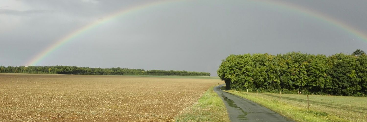 jfsalanon's profile banner image