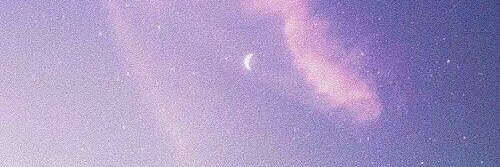 Daisy's banner