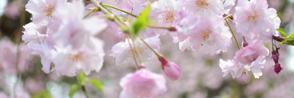 n_846's profile banner image