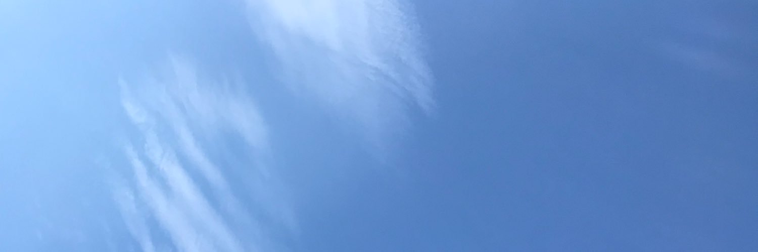 Luiscifer1's profile banner image