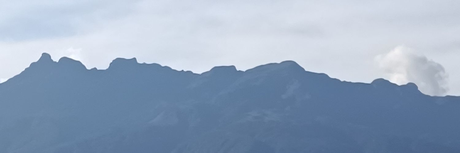 Nacho Garzon banner