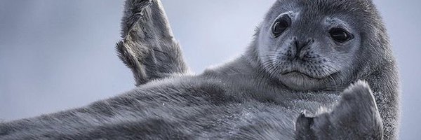 ggon_rkgk Profile Banner
