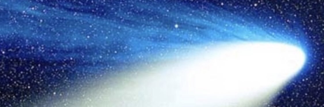 protoseed's profile banner image