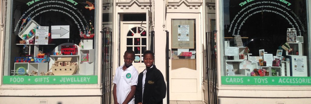 Rainbow Turtle banner